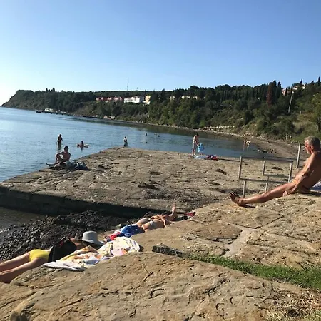 Holiday home Istrska Hisa Centurium *
