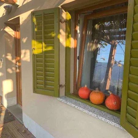 Istrska Hisa Centurium Holiday home Marezige