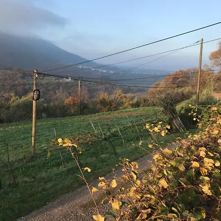 Istrska Hisa Centurium Počitniška hiša Marezige