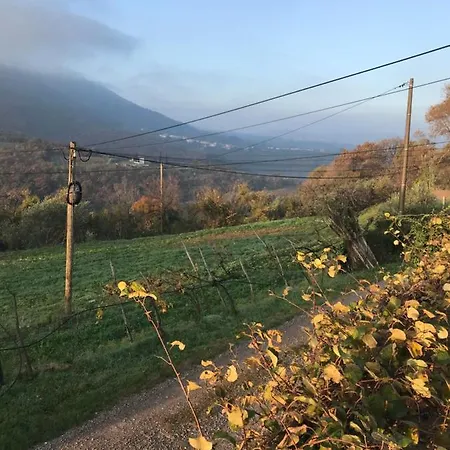 Istrska Hisa Centurium Holiday home Marezige