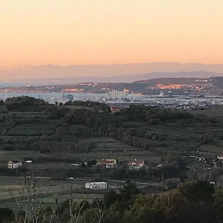 Istrska Hisa Centurium Marezige
